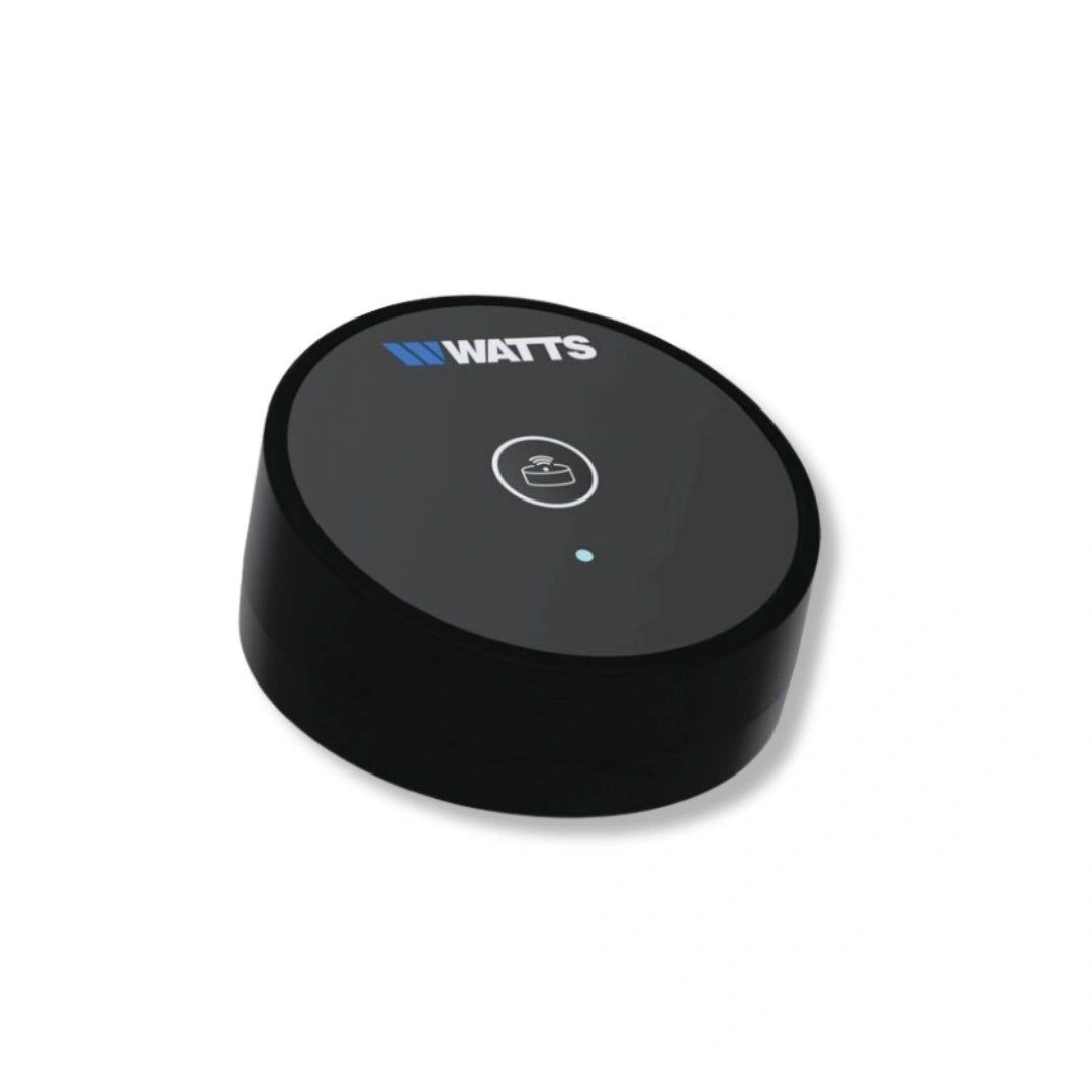Watts Vision 2.0 draadloze lekdetectie sensor RF
